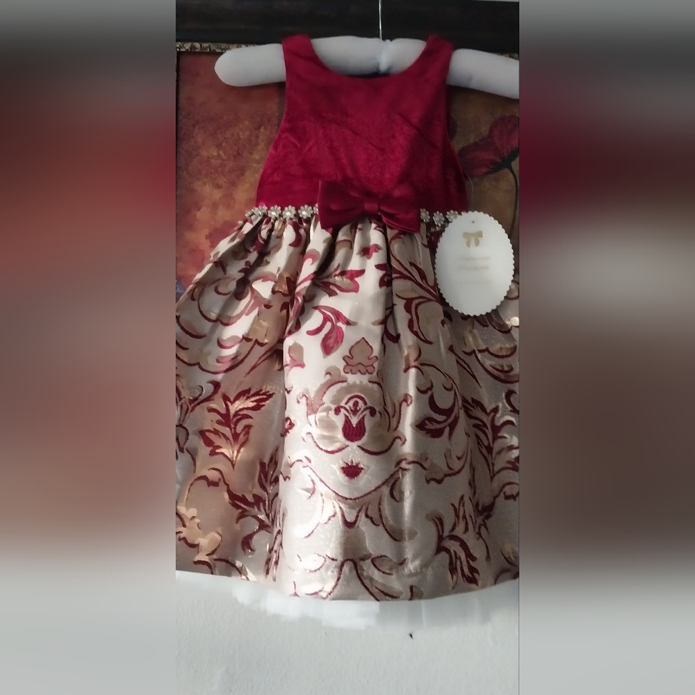 Beautiful Girl Christmas Dress